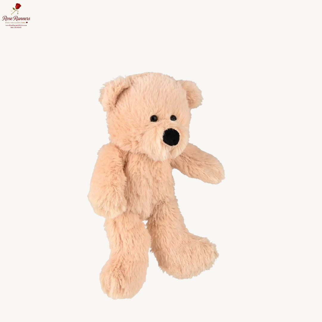Plush Teddy Bears (Assorted Colors)