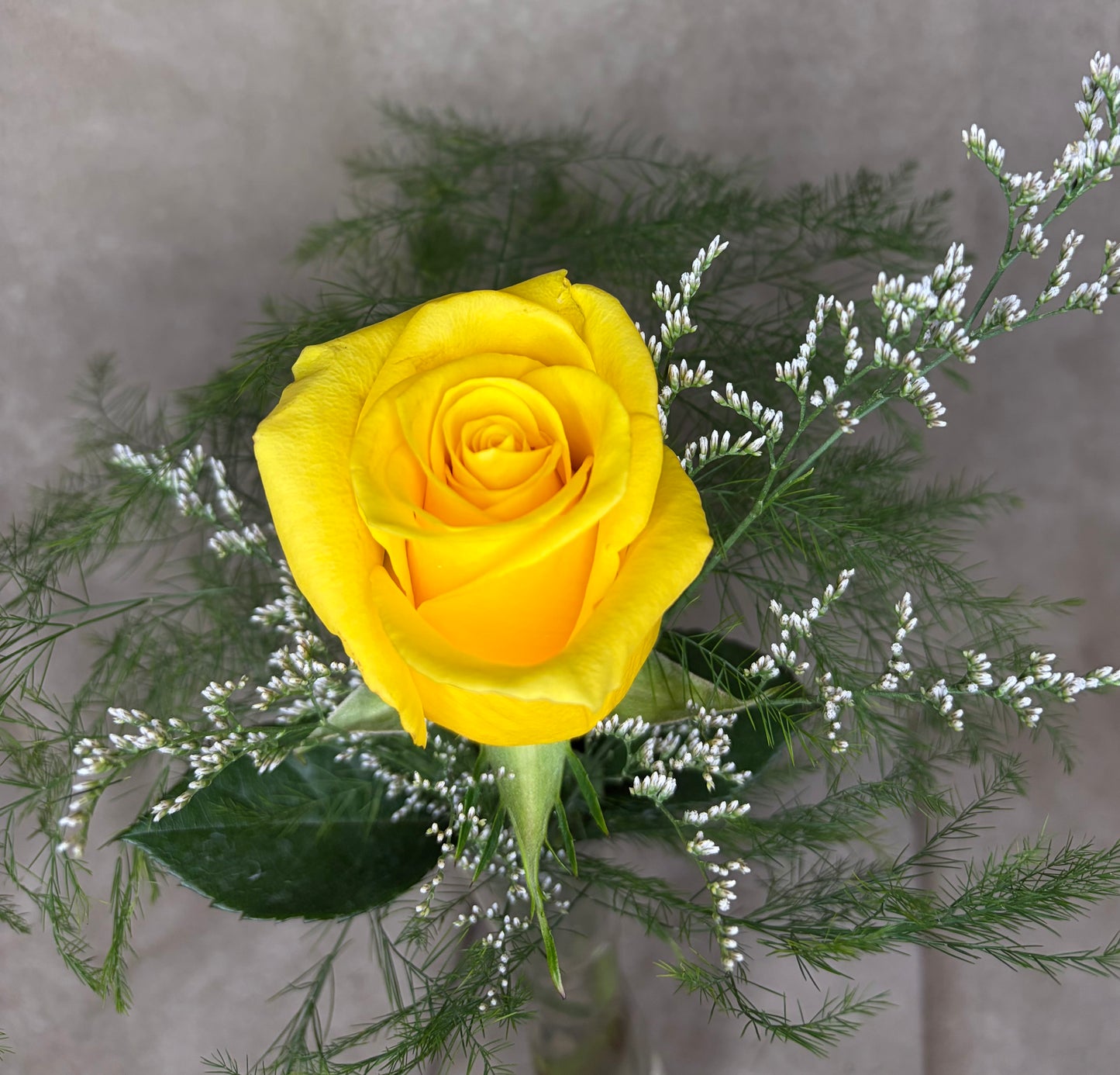 One Rose