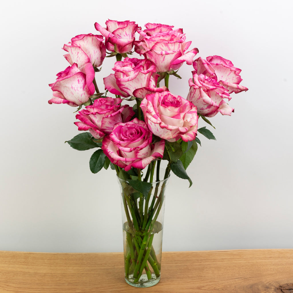Magic Times Speckled Roses