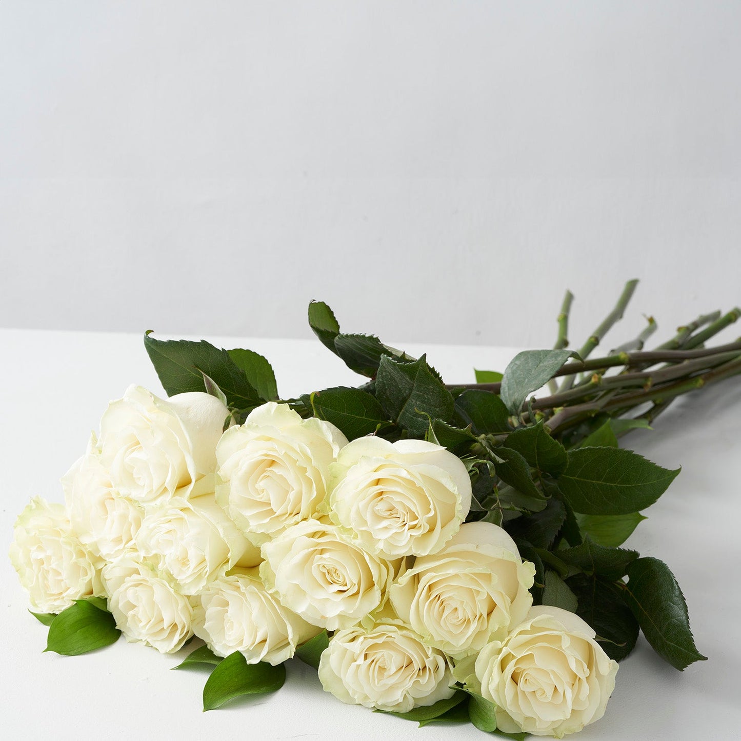 White Roses