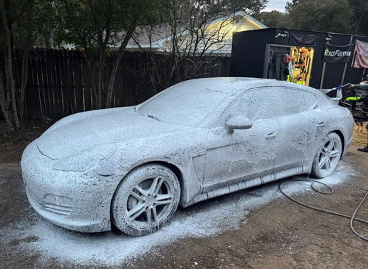 Black Widow Detailing & Paint Correction