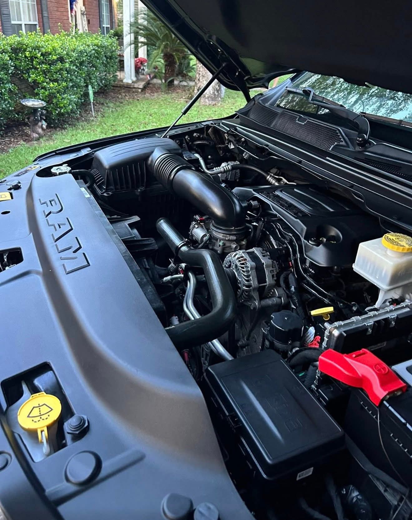 Black Widow Detailing & Paint Correction